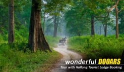 Dooars Tour Package from NJP – Experience Comfort, Adventure & More