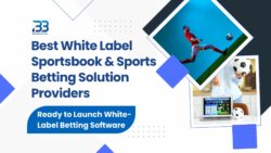 White Label Sportsbook Providers