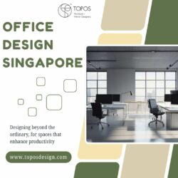 Affordable Office Design for Startups in Singapore