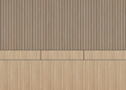 DD Belt Line Decorative Panel