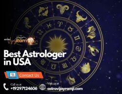 Best Astrologer in USA: Trusted Astrological Solutions Across the States