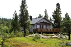 Cabin Stay in Bangalore: Luxury Glamping in Nature’s Wilderness