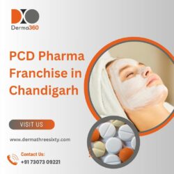 Top Opportunities for PCD Pharma Franchise in Chandigarh