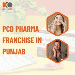 PCD Pharma Franchise in Punjab