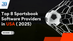 Best Sportsbook Software providers in USA