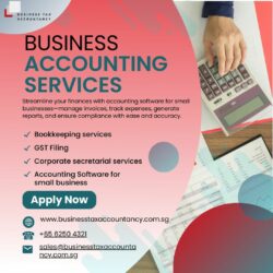 Accounting Software for small business Singapore