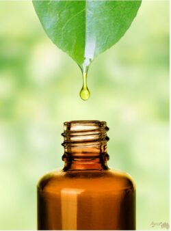 Ayurvedic Medicine Sydney