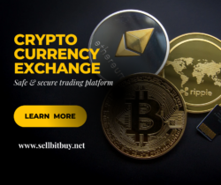cryptocurrency exchange development company