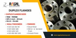 Top Manufacturer of Duplex Flanges in India