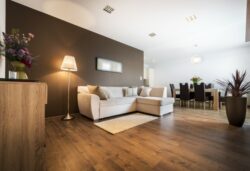 Level 2 electrician Campsie