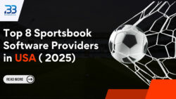 Sportsbook Software Development Company in USA