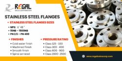 Excellent Manufacturer of Stainless Steel Flanges in India