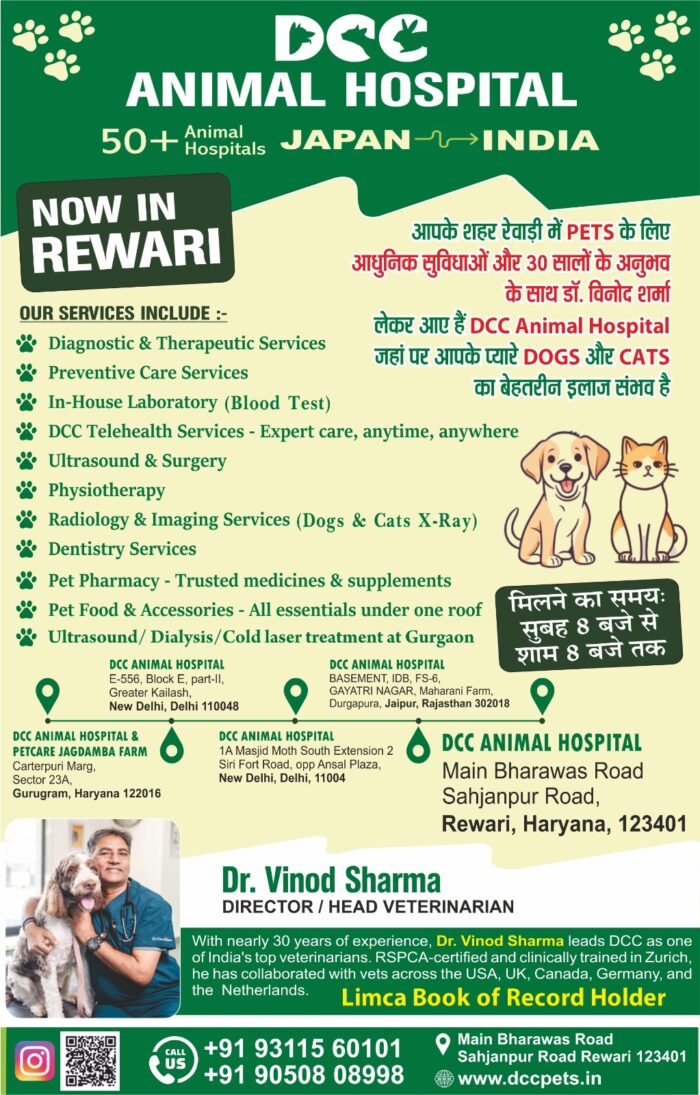 Best Pet Clinic in Rewari – DCC Animal Hospital