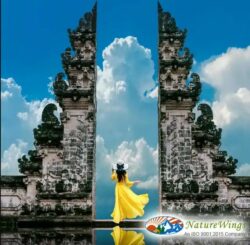 Bali Package Tour from Kolkata – Discover Temples, Beaches, and Culture