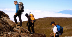 Best great adventures safaris in Tanzania