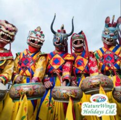 Bhutan Package Tour from Delhi: Discover Thimphu, Punakha, and the Iconic Tiger’s Nest