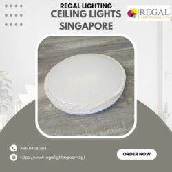 Stylish Ceiling Lights Singapore – Regal Lighting Solutions