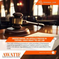 Understanding the appeals process in criminal cases under the UAE law