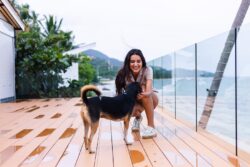 Expert Pet Sitting In Gold Coast Offering Love And Comfort