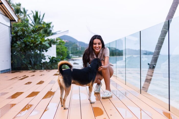 Expert Pet Sitting In Gold Coast Offering Love And Comfort