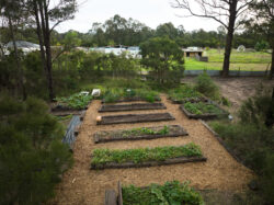 Transform Outdoor Spaces with Railway Sleeper Milled Boards and Raised Garden Beds