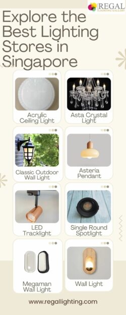 Explore the Best Lighting Stores in Singapore