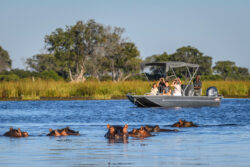 Famous Okavango Delta The Top Adventures in Botswana