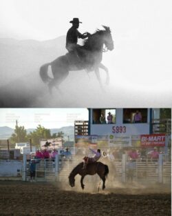 Georgia Rodeo