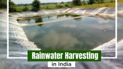Methods of Rainwater Harvesting in India