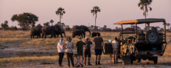 Best Tanzania Parks for Africa Safari Tours Now