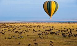 Best 10 Things to Do on Safari to Tanzania