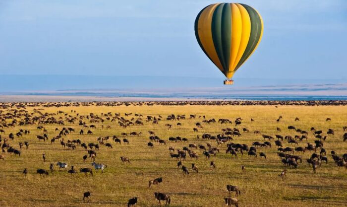 Best 10 Things to Do on Safari to Tanzania
