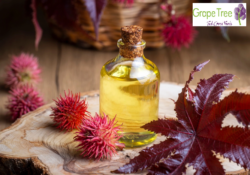 Castor Oil Benefits for Hair, Skin, and Health with Grape Tree