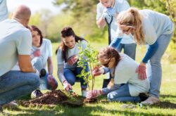 Tailored Support For NDIS Community Participation In Newcastle