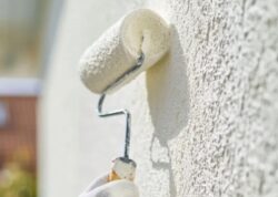 Painter Cronulla