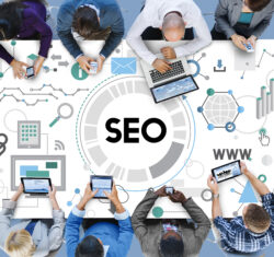 Grow Your Business Online with the Best SEO Expert in Albuquerque