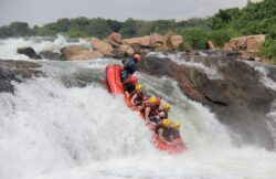 Top 10 Must-Do Uganda Safari Experiences