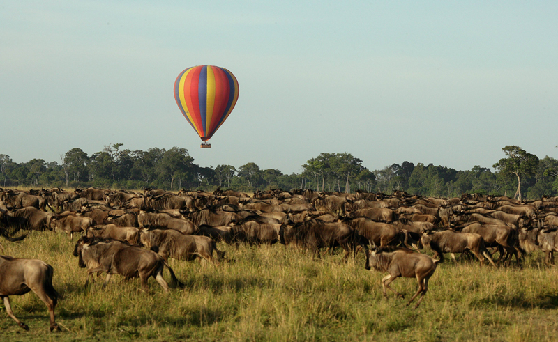 Top Things to Do with Great Migration on Tanzania Trips