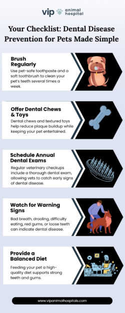 VIP Animal Hospital’s Guide to Dental Disease Prevention for Pets