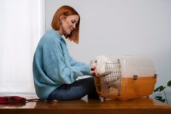 Safe And Secure Pet Boarding In Gold Coast At Affordable Prices
