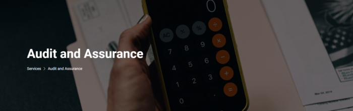 Audit and Assurance Service by Benjamin King Money