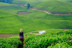 Best 9 Rwanda safari tours attractions beyond gorillas