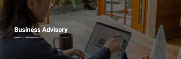 Buisness Advisory Services by Benjamin King Money