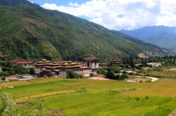 MICE tour from Naturewings Holidays- special Offer
