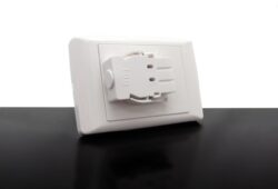 Starter Plate – Single