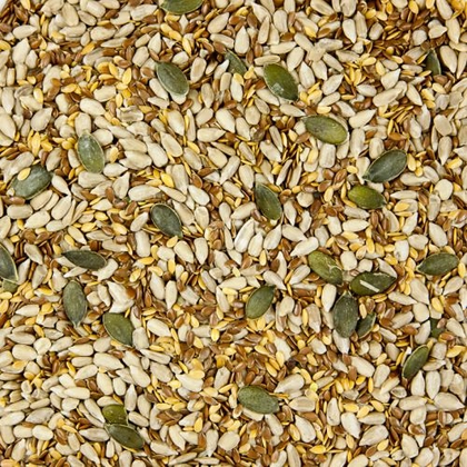Seeds of Wellness: Your Guide to Nutrition, Flavour & Health with Grape Tree