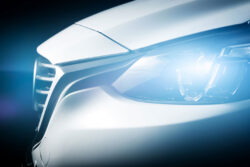 Xenon Bulbs