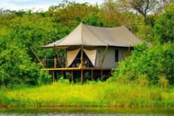 Booking a Budget Rwanda Safari