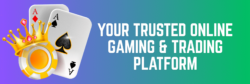 Diamond Exch9 – Secure Online Cricket Betting & Sports Exchange Platform