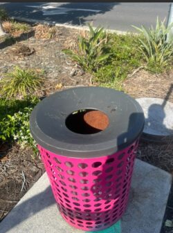 Weed Control Solutions Every Homeowner Should Know